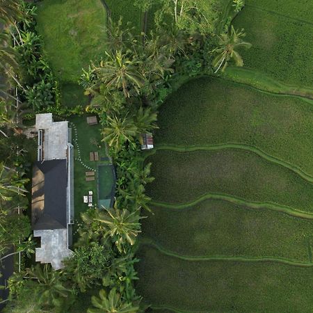 Hatiku Di Bali - Ubud 德格拉朗 外观 照片