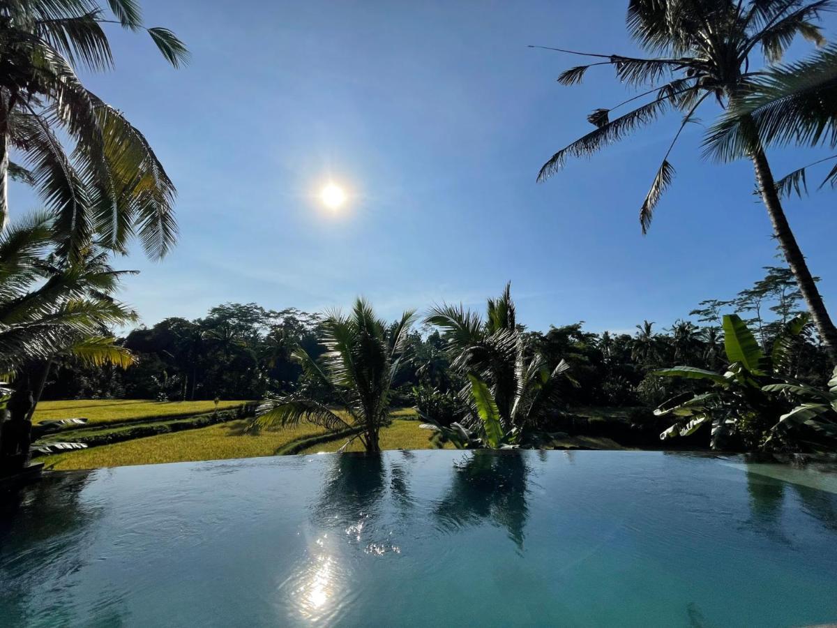 Hatiku Di Bali - Ubud 德格拉朗 外观 照片