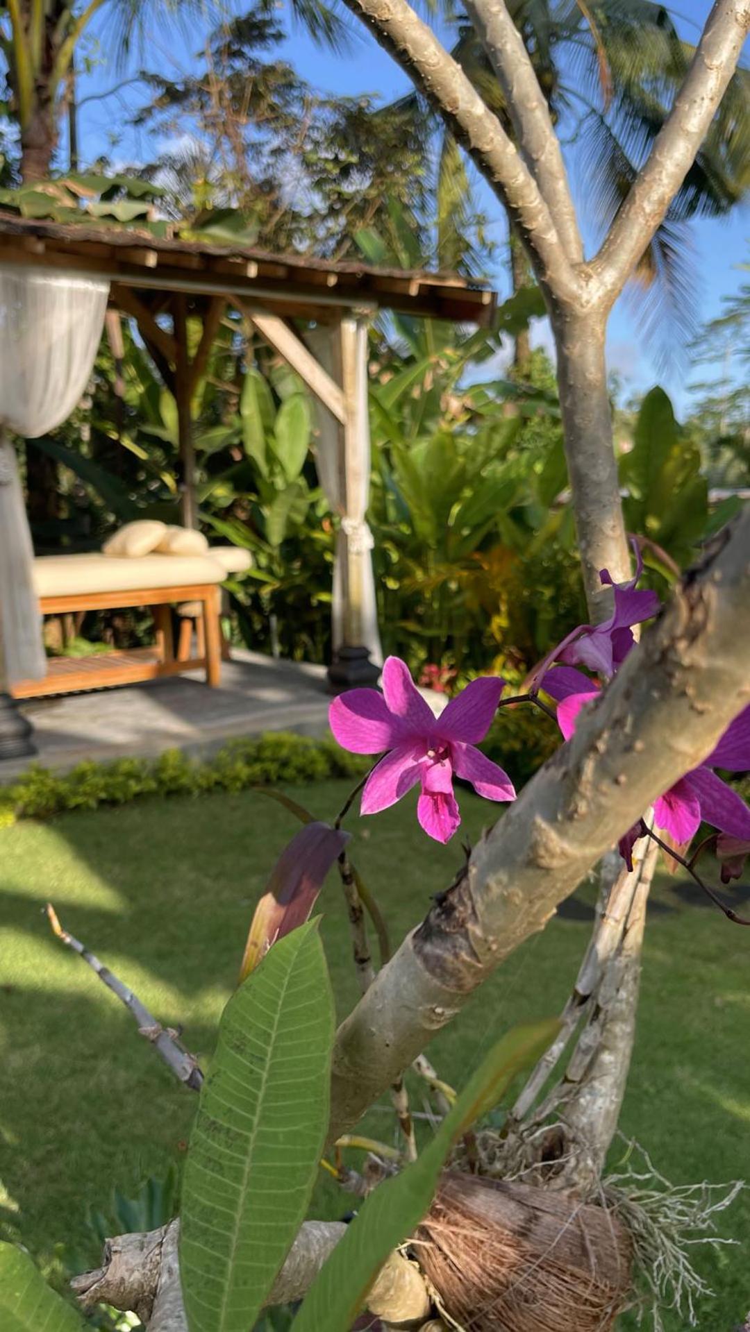 Hatiku Di Bali - Ubud 德格拉朗 外观 照片