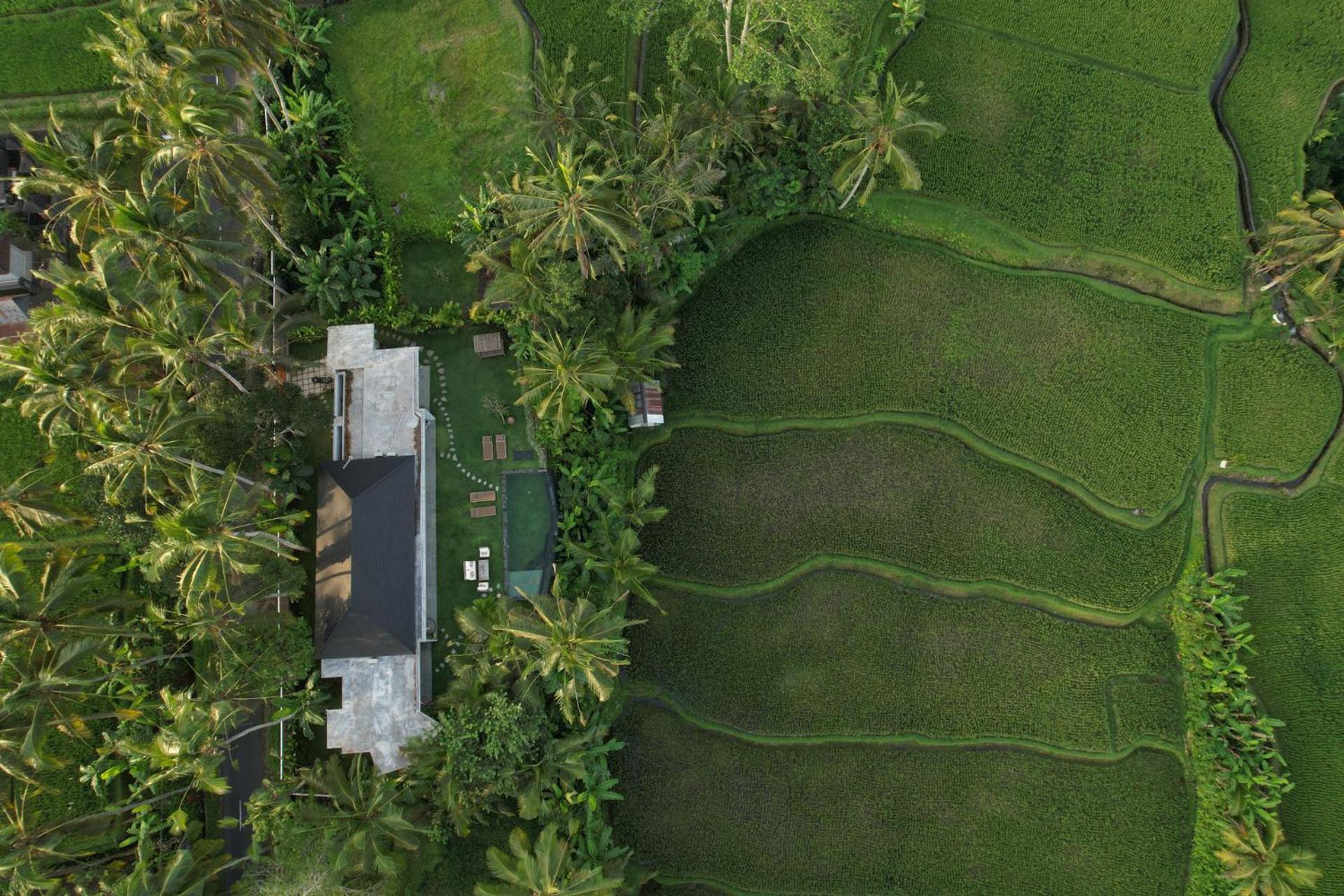 Hatiku Di Bali - Ubud 德格拉朗 外观 照片